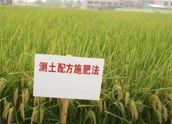 HM詳解土壤養(yǎng)分速測(cè)儀怎么用？