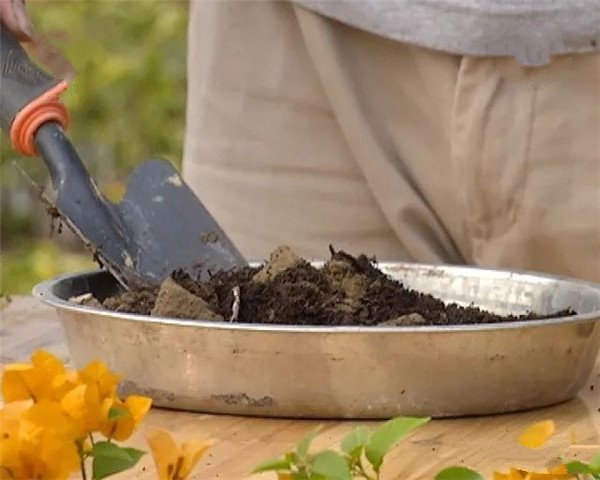 土壤養(yǎng)分分析不同方法的比較 土壤養(yǎng)分分析不同方法的比較