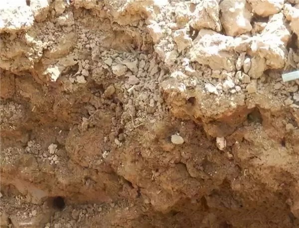 土壤養(yǎng)分分析儀測定土壤中總氮含量